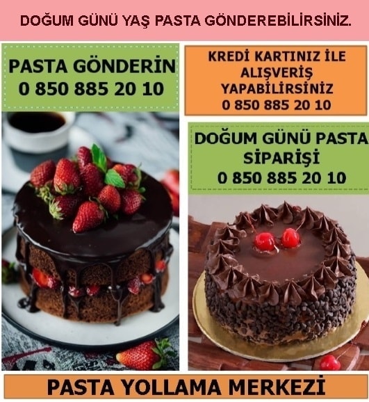 Osmaniye yaş pasta yolla sipariş gönder doğum günü pastası